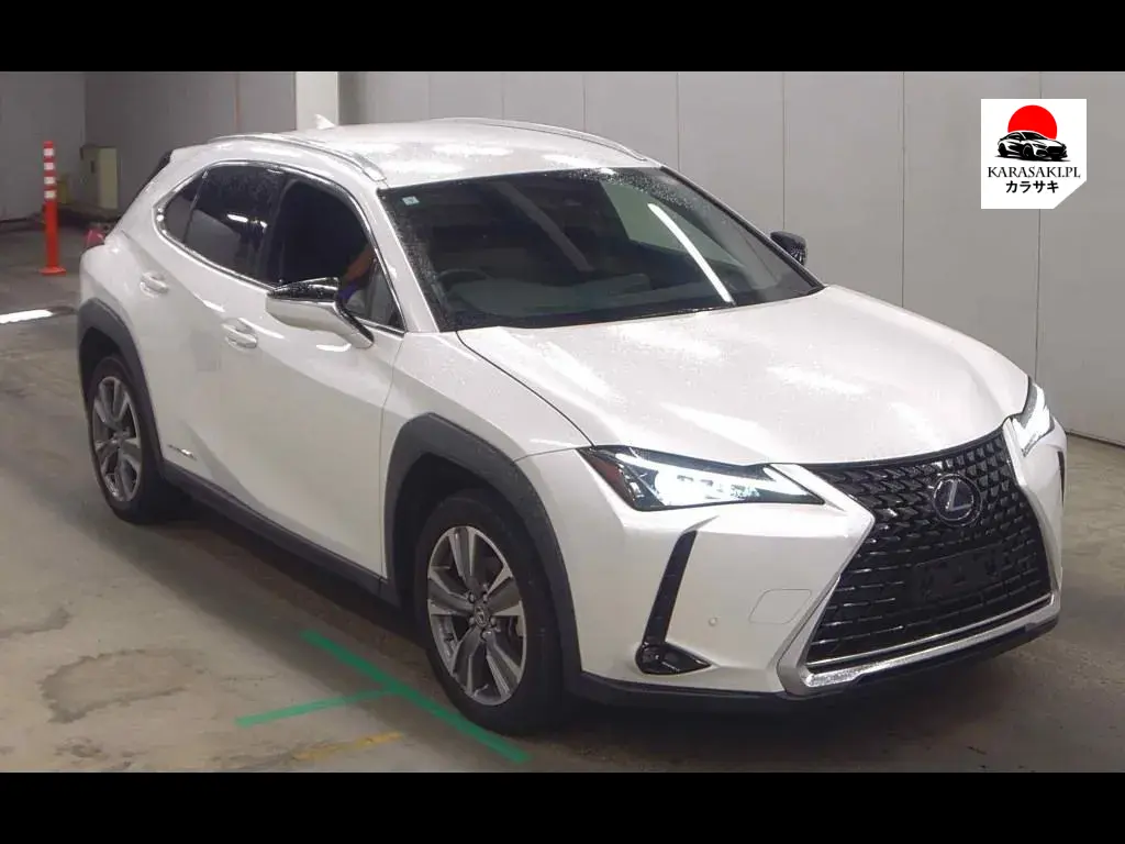 Lexus UX300E 2021 з японського аукціону