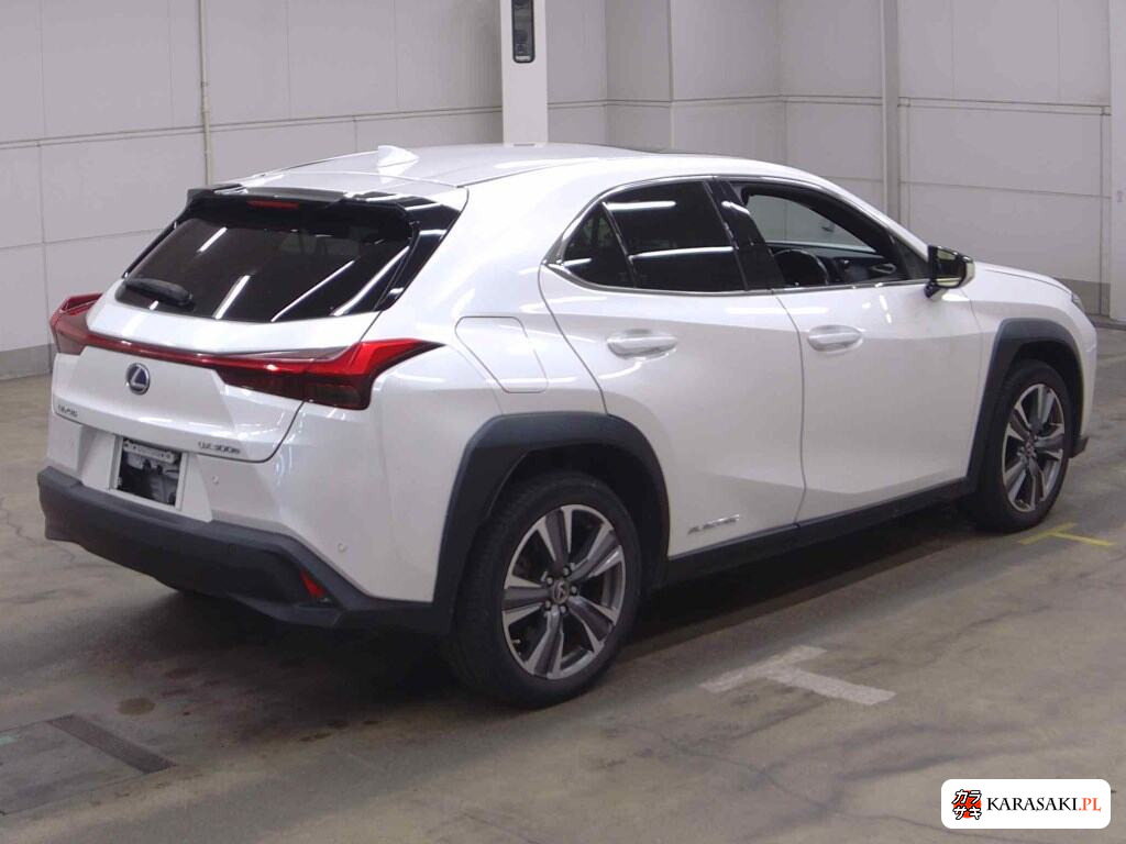 2021 Lexus UX300E Version C 4
