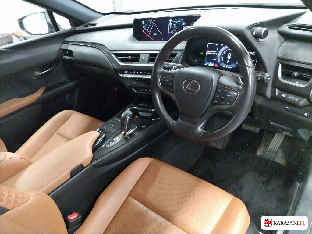 2021 Lexus UX300E Version C 5