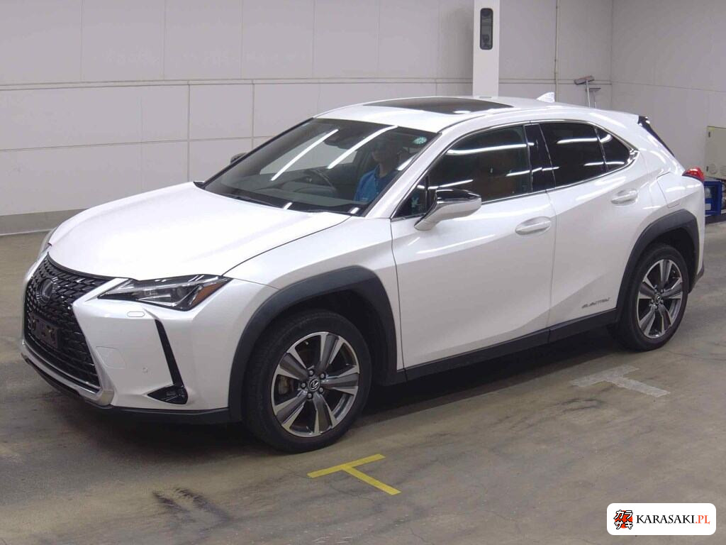 2021 Lexus UX300E Version C 3