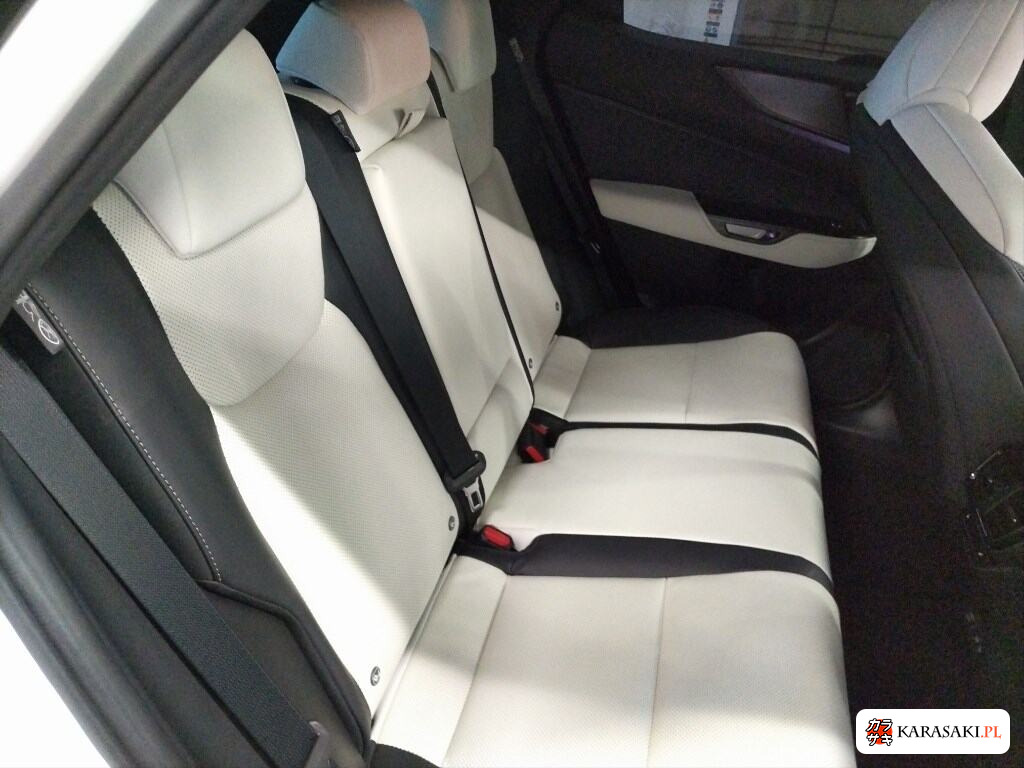 2023 Lexus NX 4WD NX350H F Sport 6