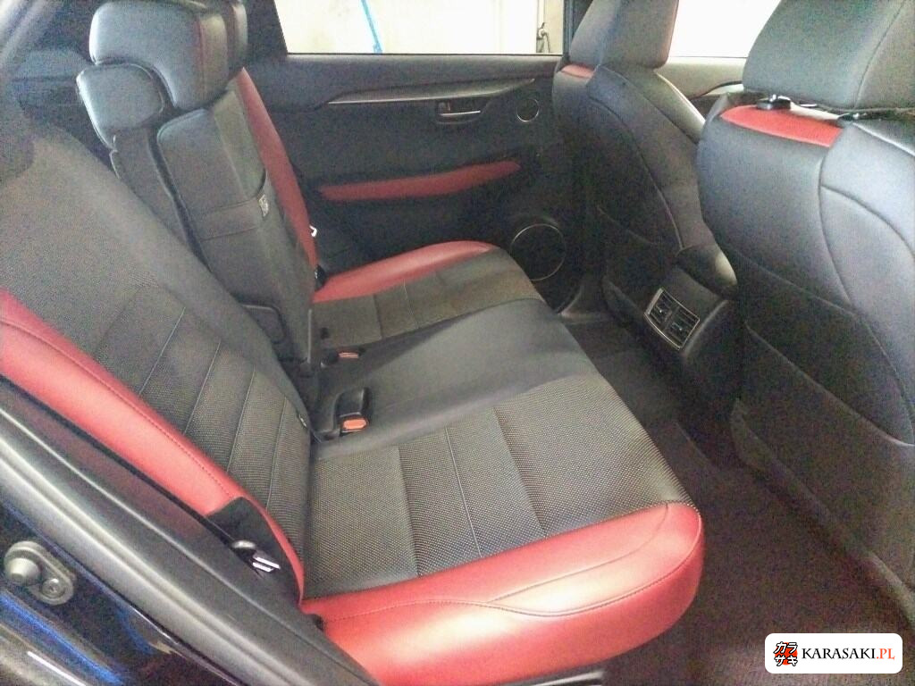 2018 Lexus NX 4WD NX300 F Sport 6