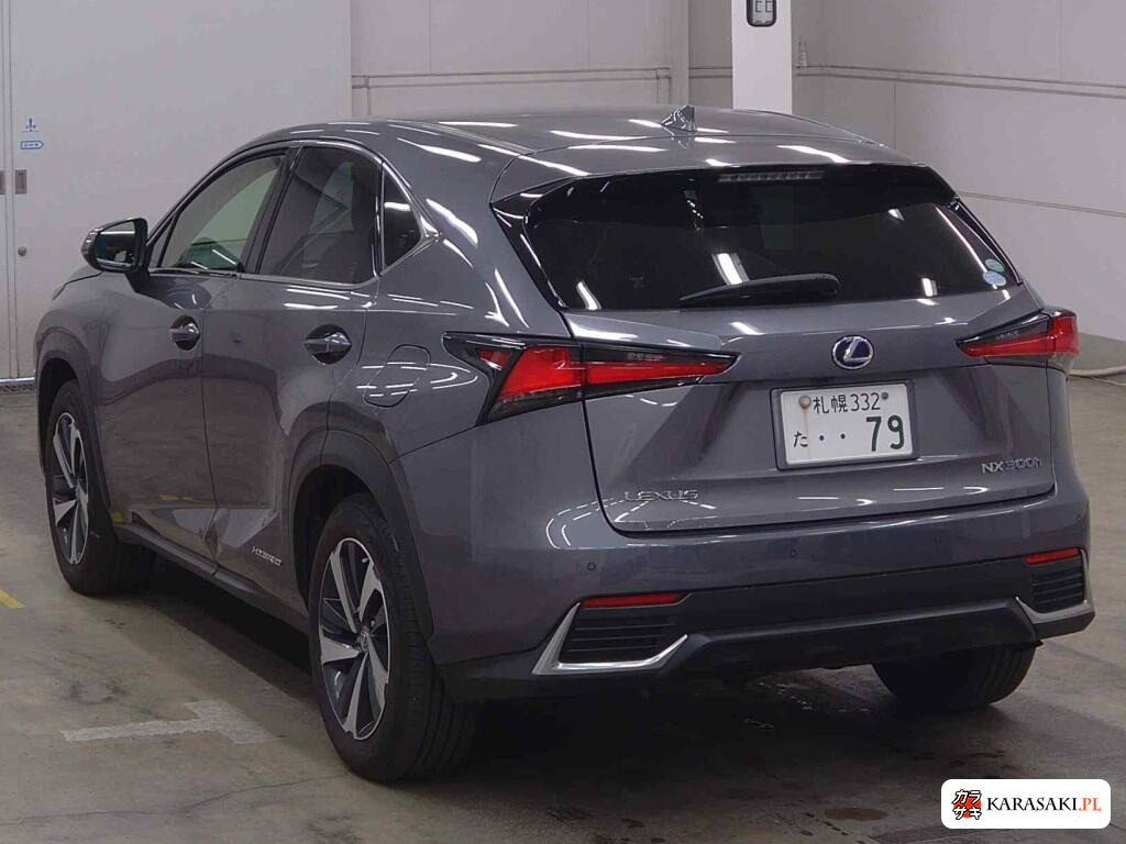 2019 Lexus NX 4WD NX300H I Package 2