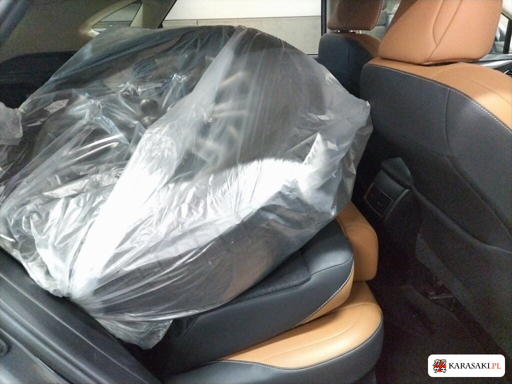 2019 Lexus NX 4WD NX300H I Package 6