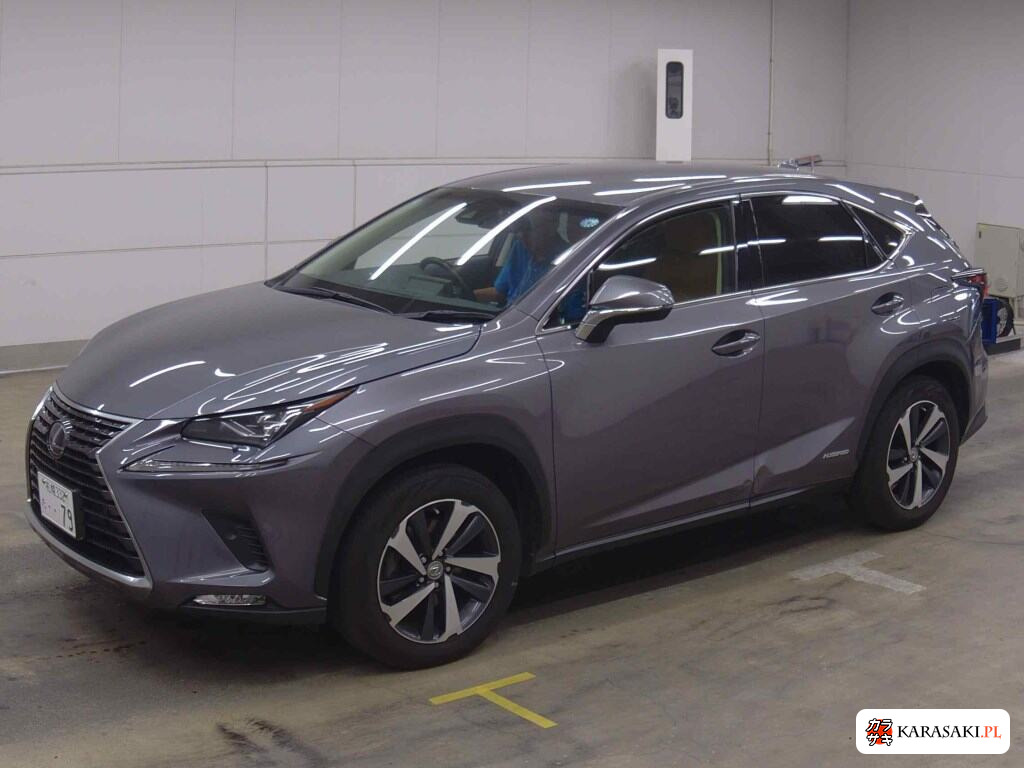 2019 Lexus NX 4WD NX300H I Package 3