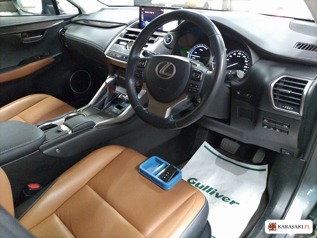 2019 Lexus NX 4WD NX300H I Package 5