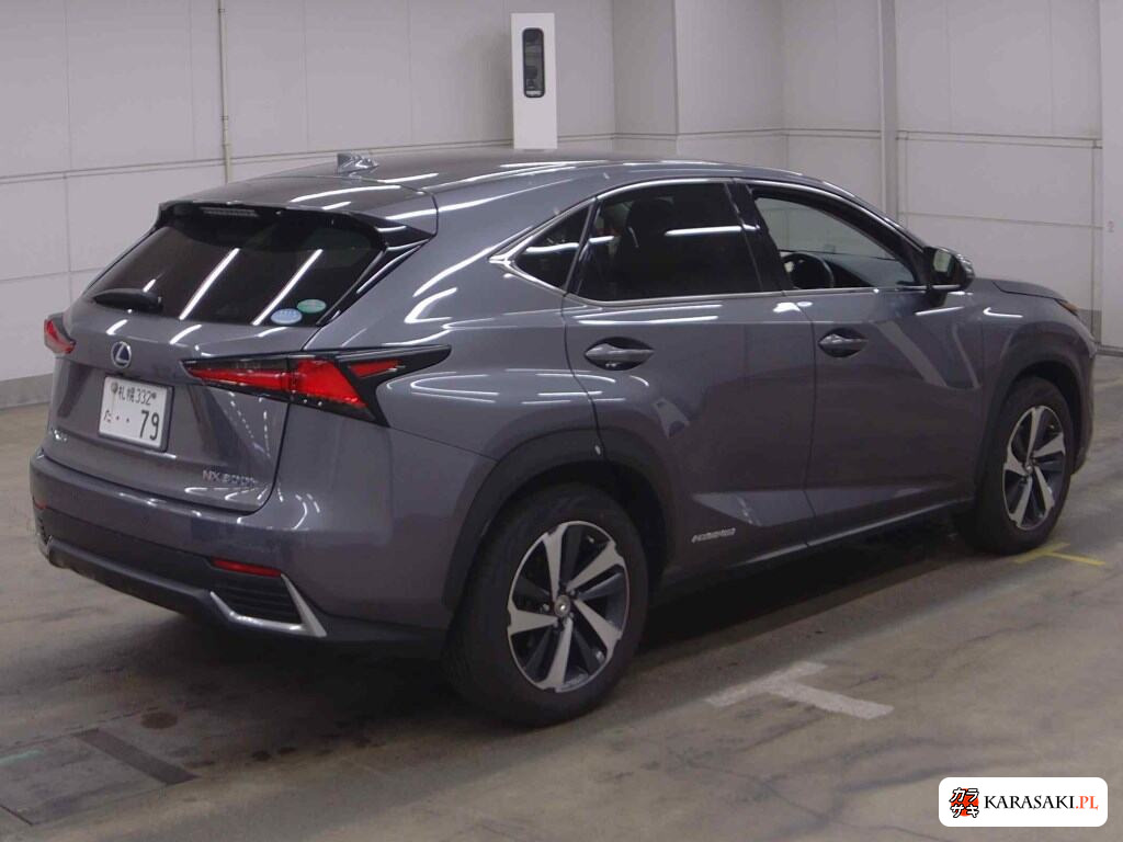 2019 Lexus NX 4WD NX300H I Package 4