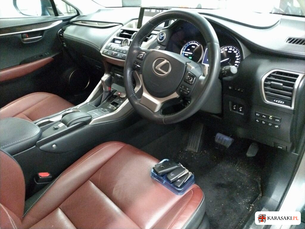 Lexus NX 2014 z aukcji japońskiej