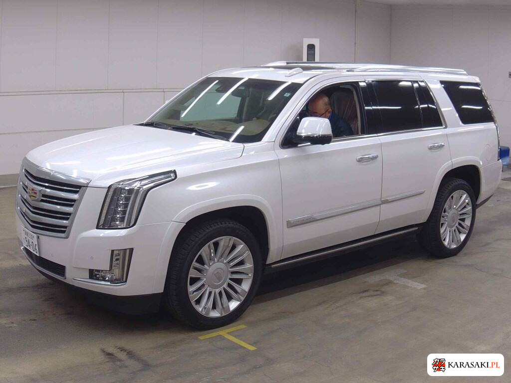 2016 Cadillac Escalade 4WD Platinum 3