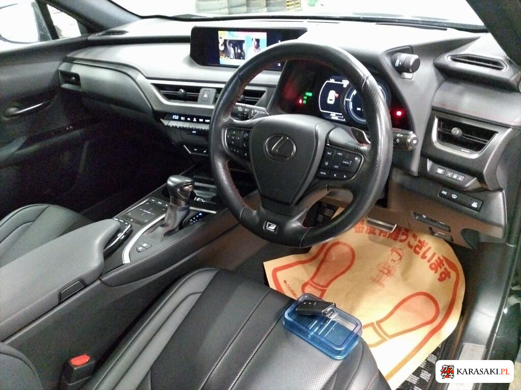2021 Lexus Ux UX250H F Sport 5