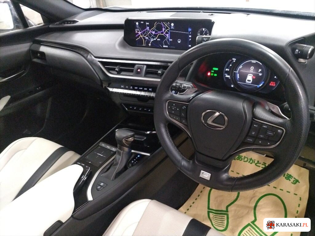 2021 Lexus Ux 4WD UX250H F Sport 5