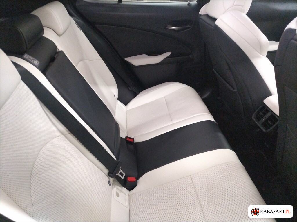 2021 Lexus Ux 4WD UX250H F Sport 6