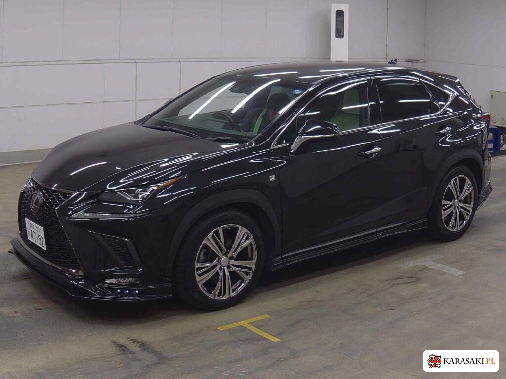 2019 Lexus NX 4WD NX300 F Sport 3