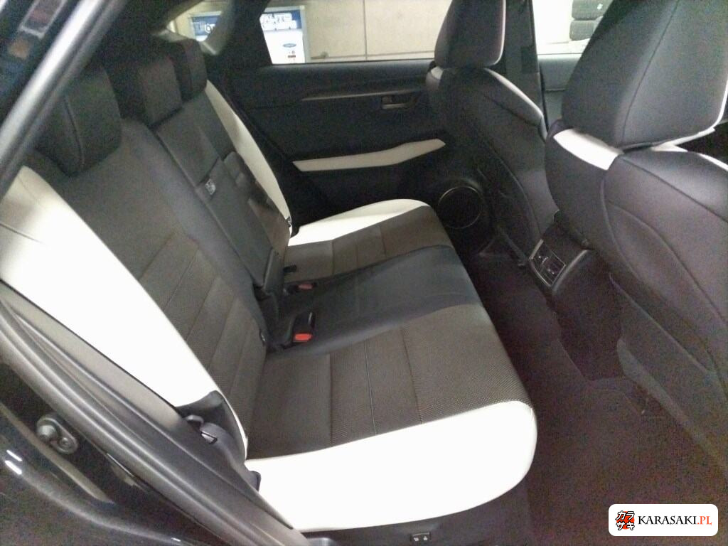 2019 Lexus NX 4WD NX300 F Sport 6