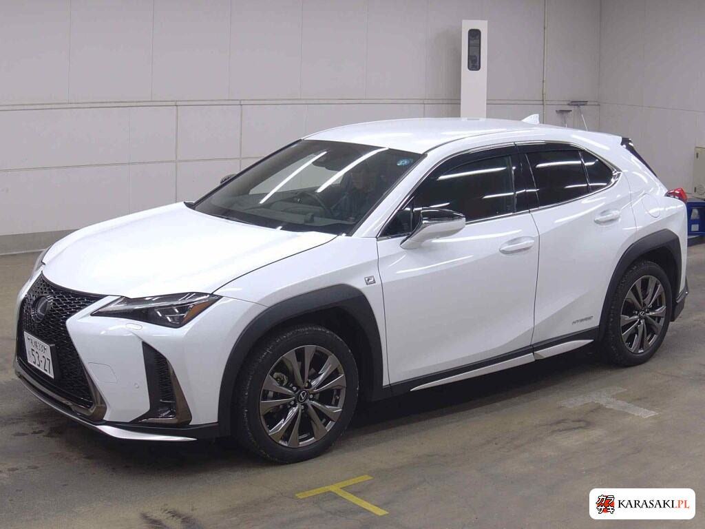 Lexus Ux 2019 з японського аукціону