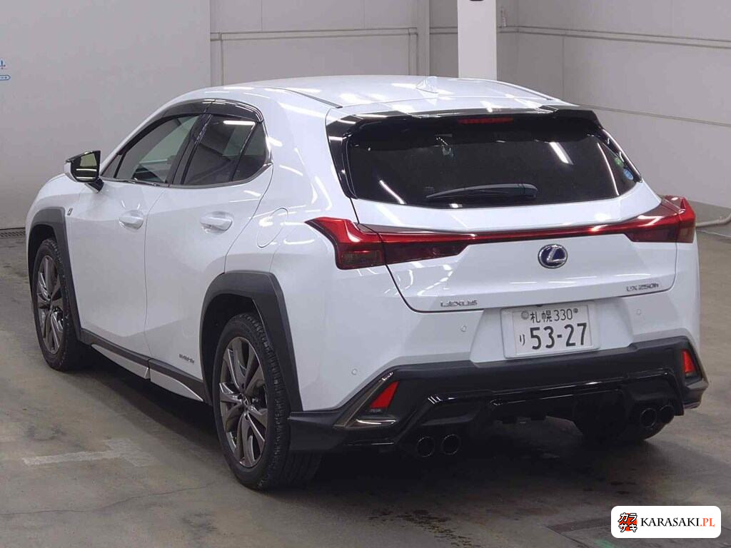 Lexus Ux 2019 з японського аукціону