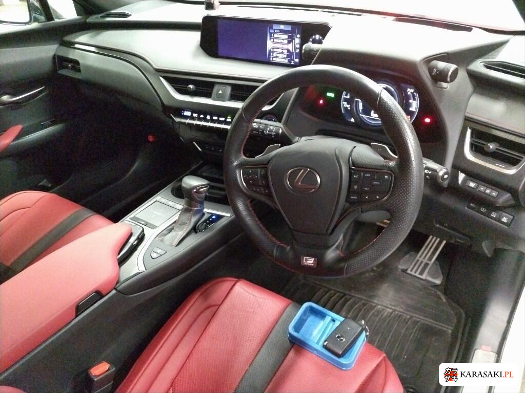 Lexus Ux 2019 з японського аукціону