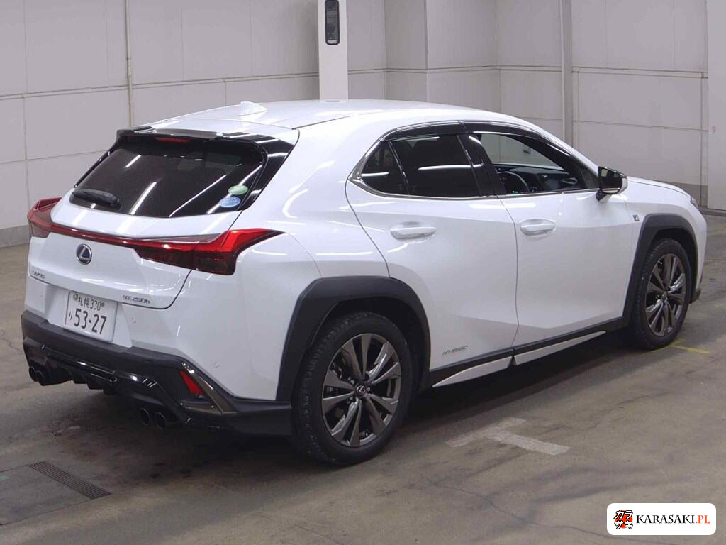 Lexus Ux 2019 з японського аукціону