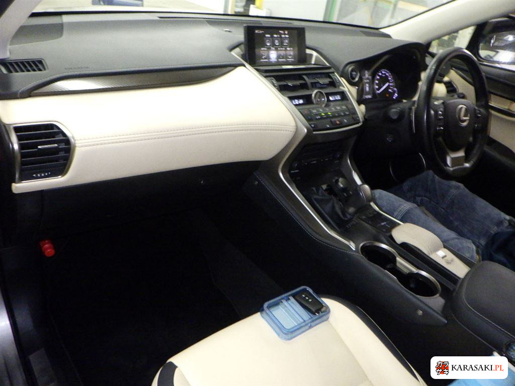 2015 Lexus NX 4WD NX300H I Package 5