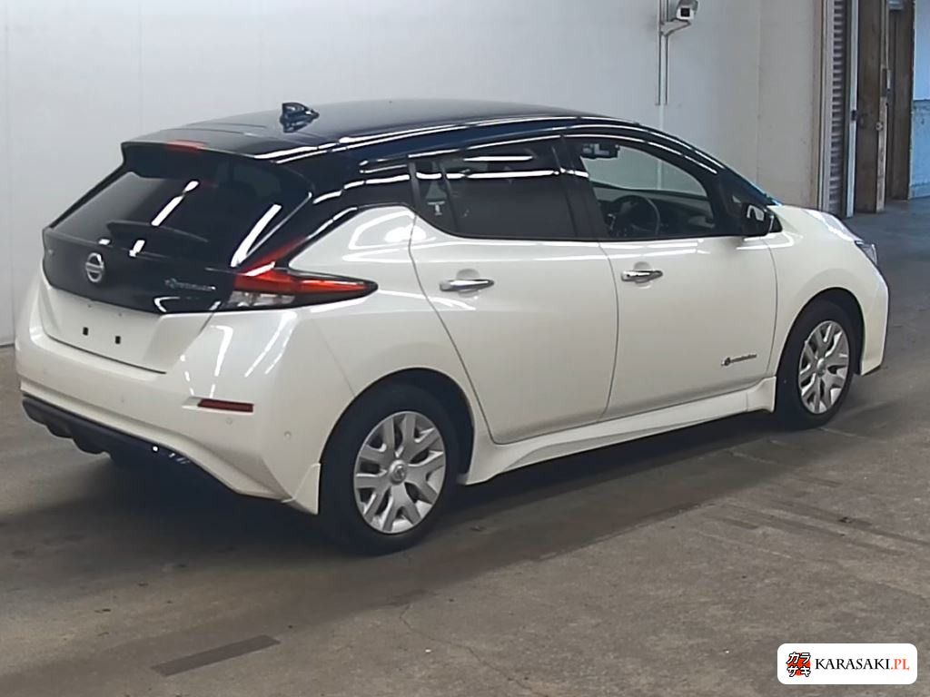 2020 Nissan ZE1 4