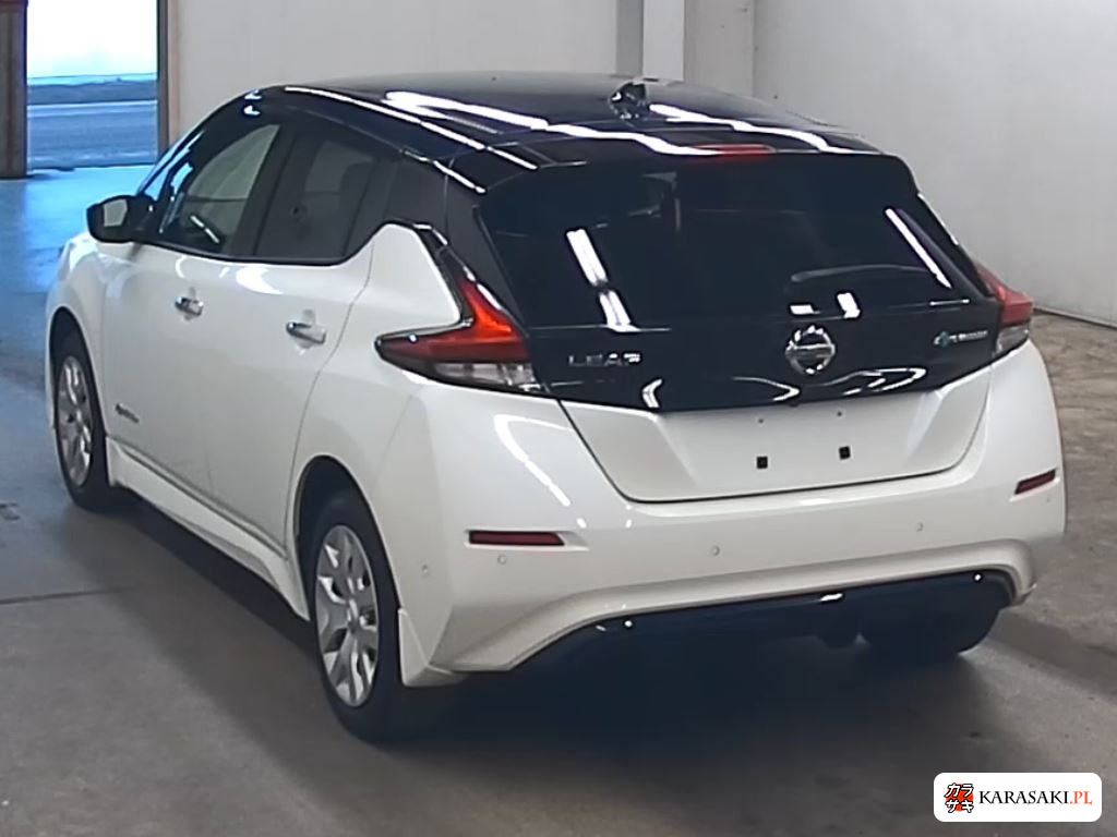 2020 Nissan ZE1 2