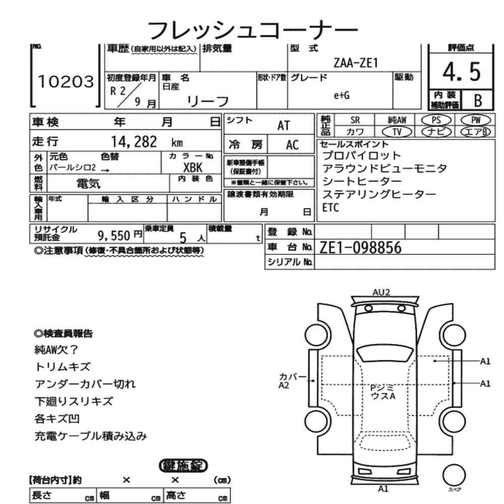 Arkusz aukcyjny — 2020 Nissan ZE1