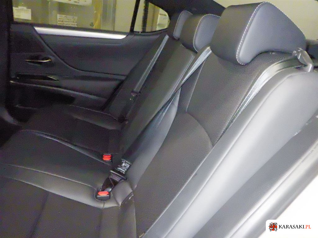 2020 Lexus Es ES300H F Sport 6