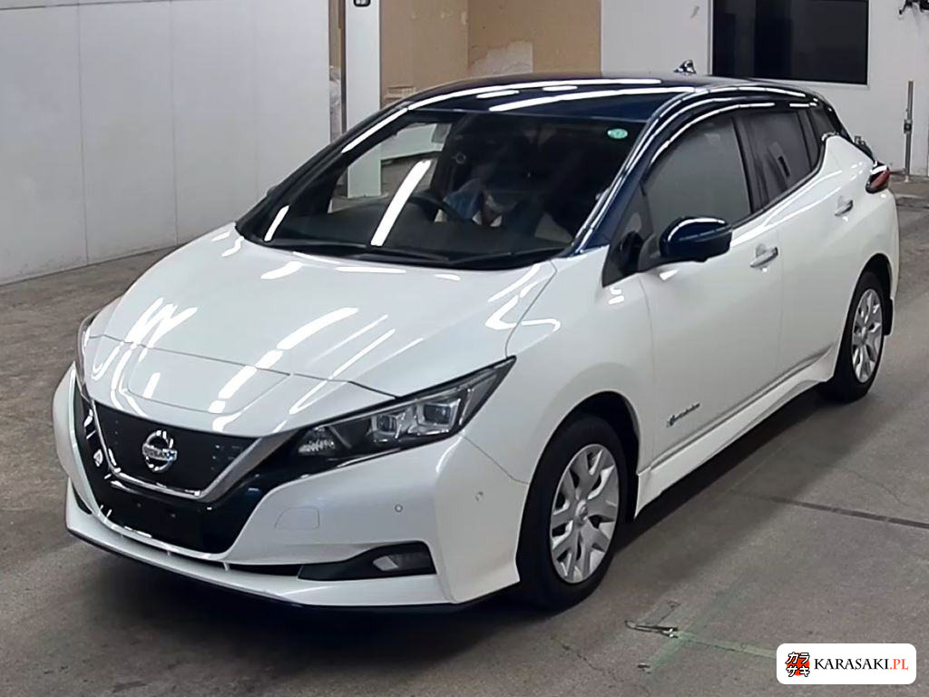 Nissan ZE1 2020 z aukcji japońskiej
