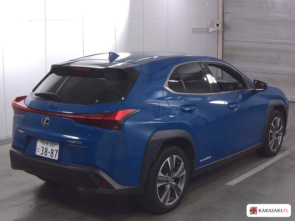2021 Lexus UX300E Version L 4