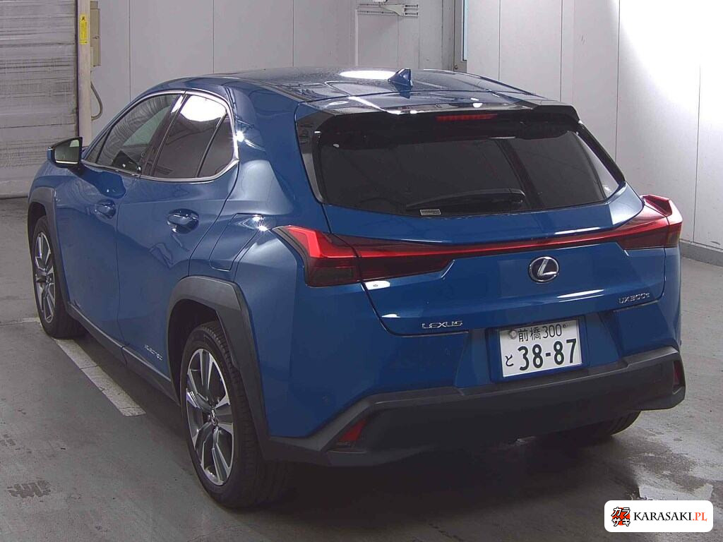 2021 Lexus UX300E Version L 2