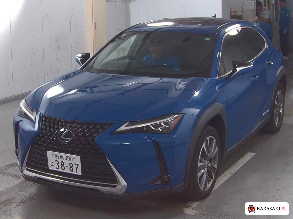 2021 Lexus UX300E Version L 3