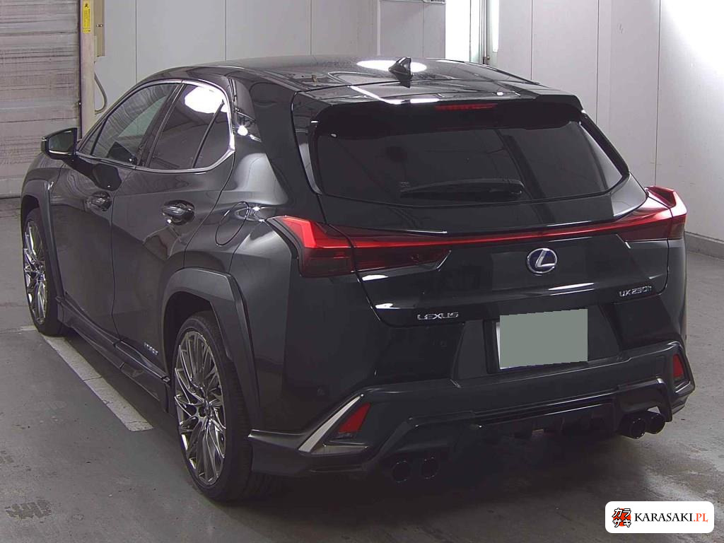Lexus Ux 2020 z aukcji japońskiej