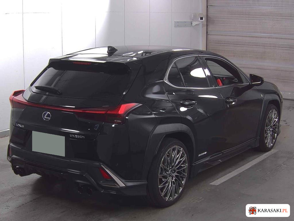 Lexus Ux 2020 z aukcji japońskiej