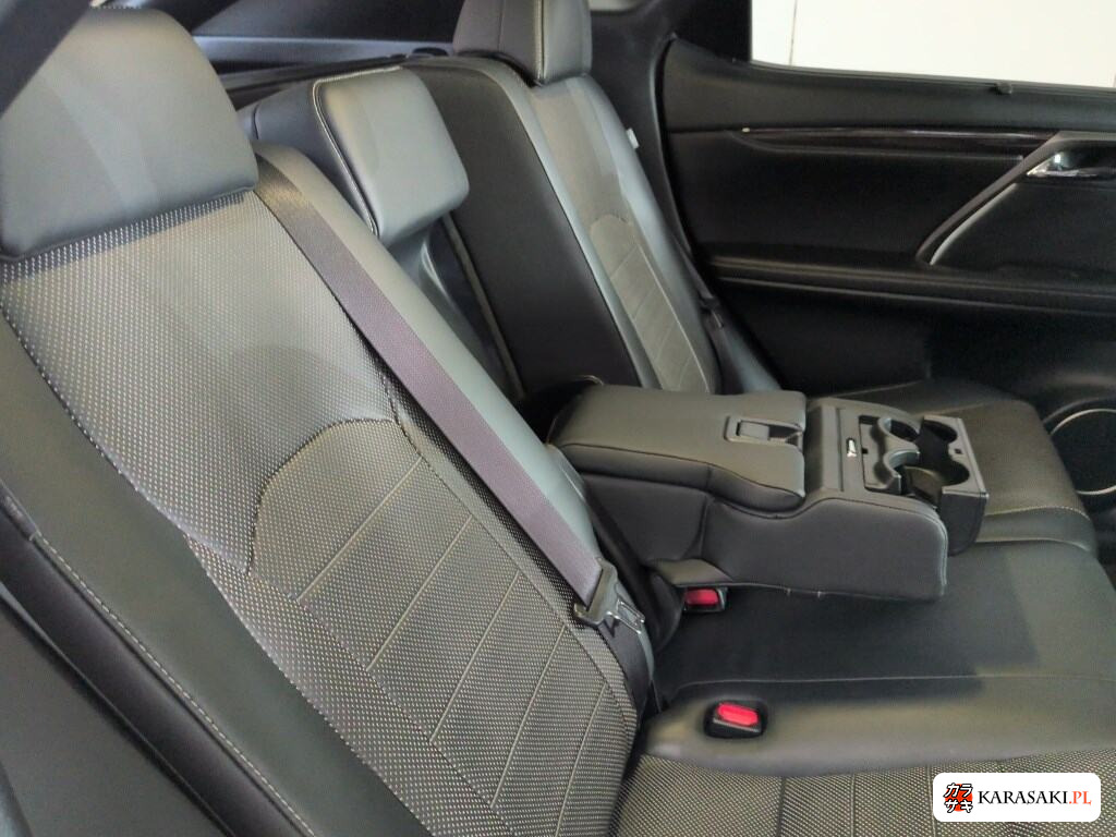 2016 Lexus RX 4WD RX200T F Sport 6