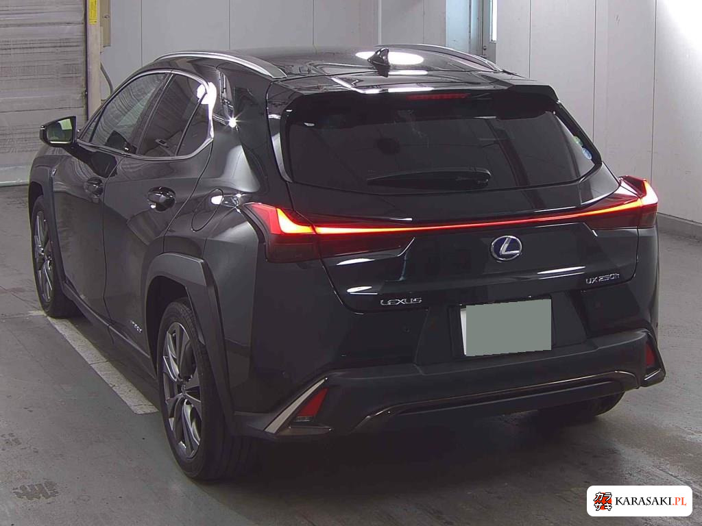 Lexus Ux 2020 z aukcji japońskiej