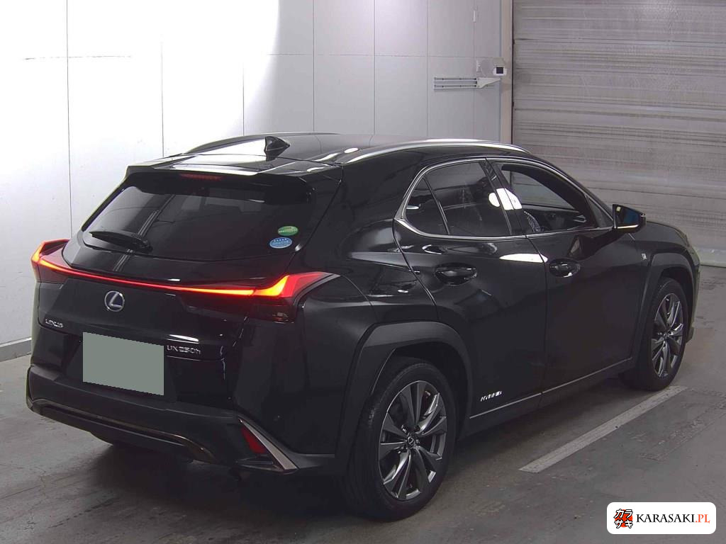 Lexus Ux 2020 z aukcji japońskiej