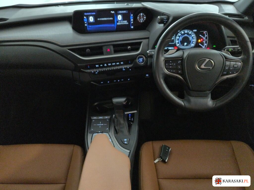 Lexus Ux 2021 z aukcji japońskiej