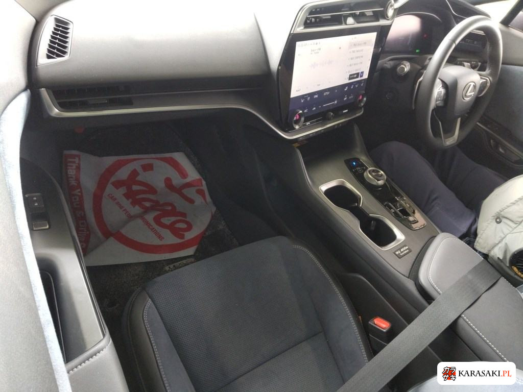 2023 Lexus RZ 4WD RZ450E First Edition 5