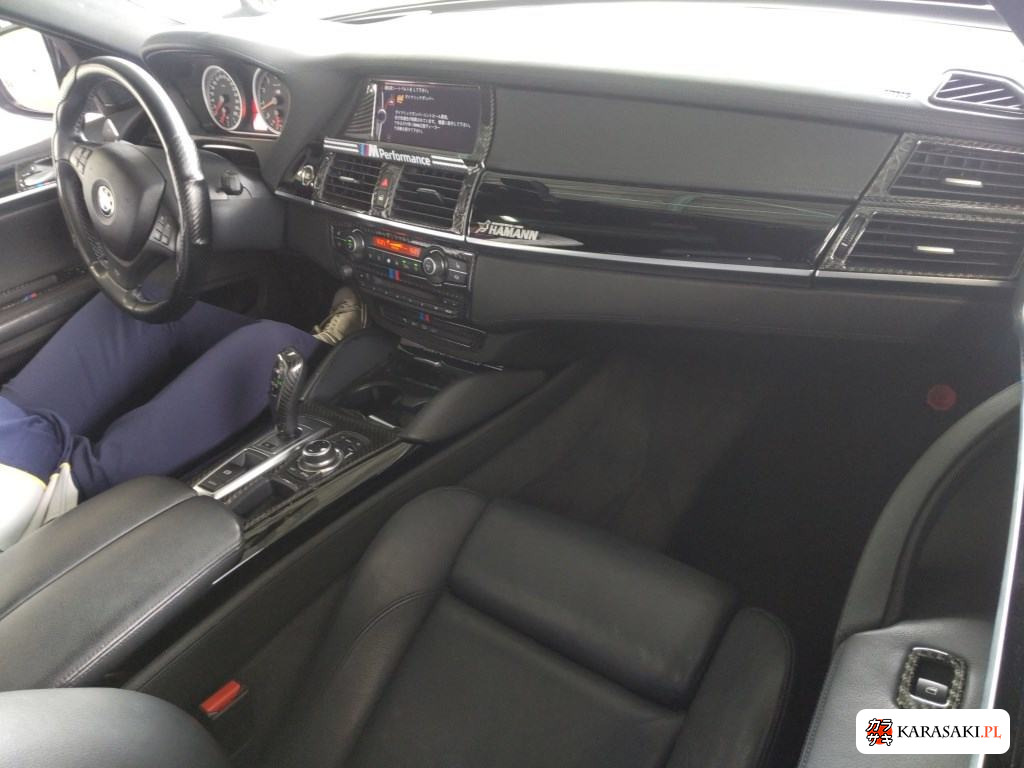 2009 BMW X6 M 4WD Base Grade 5
