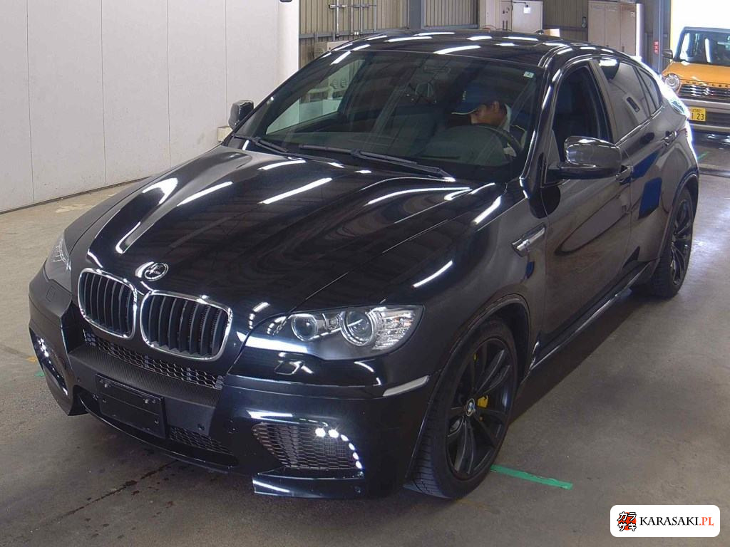 2009 BMW X6 M 4WD Base Grade 3
