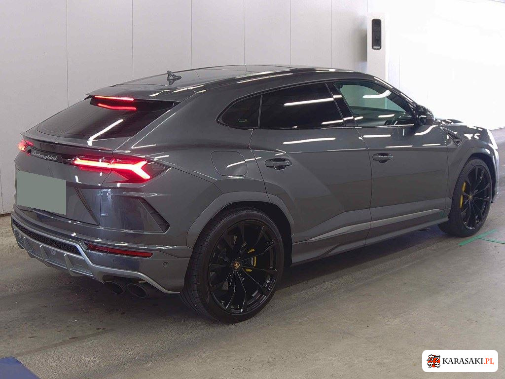 2019 Lamborghini ZLDHU 4