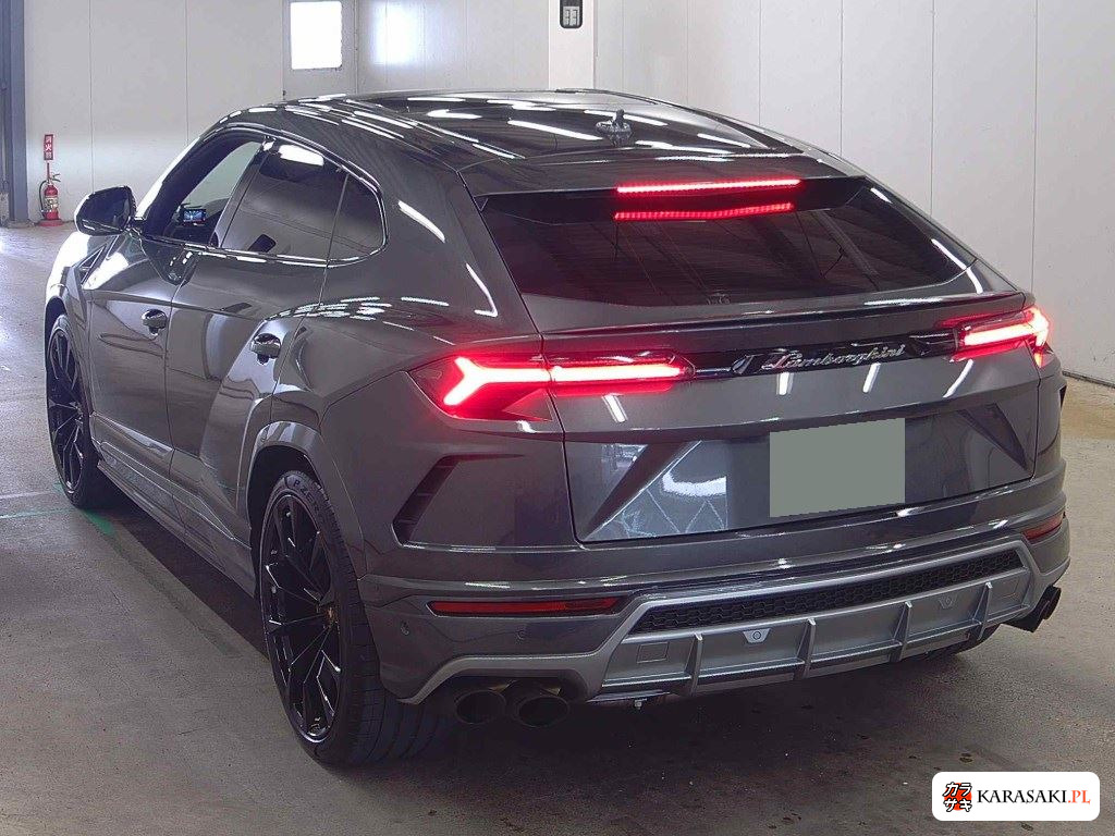 2019 Lamborghini ZLDHU 2