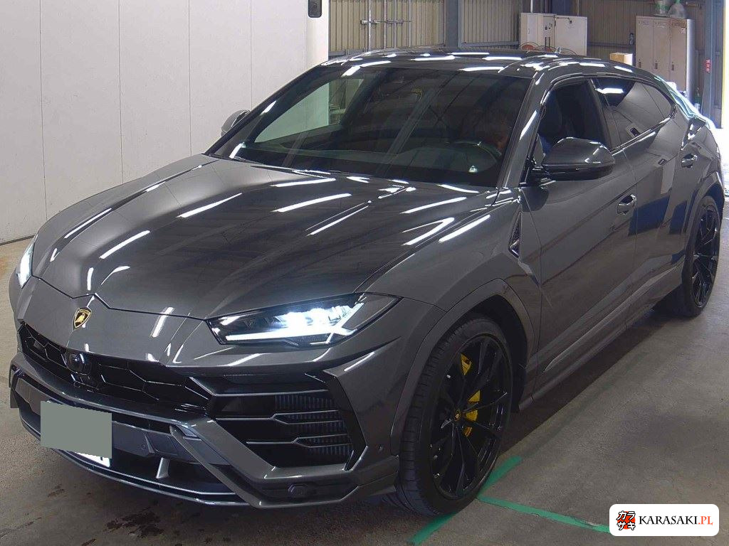 2019 Lamborghini ZLDHU 3
