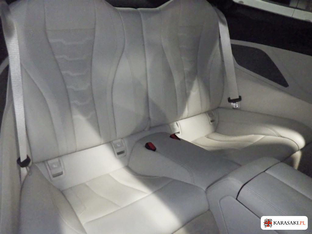 2020 BMW 8 Series CP 4WD M850I Xdrive Coupe 6
