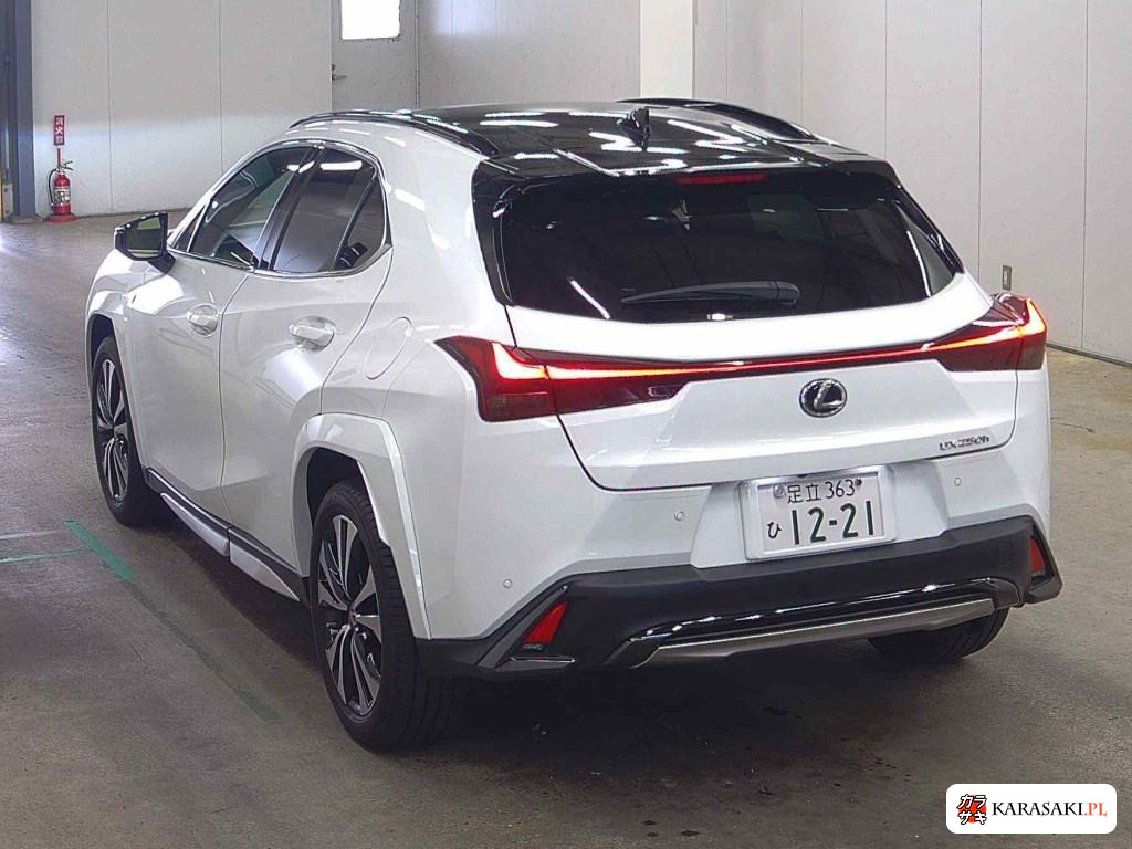 2023 Lexus Ux UX250H F Sport Emotional Explorer 2