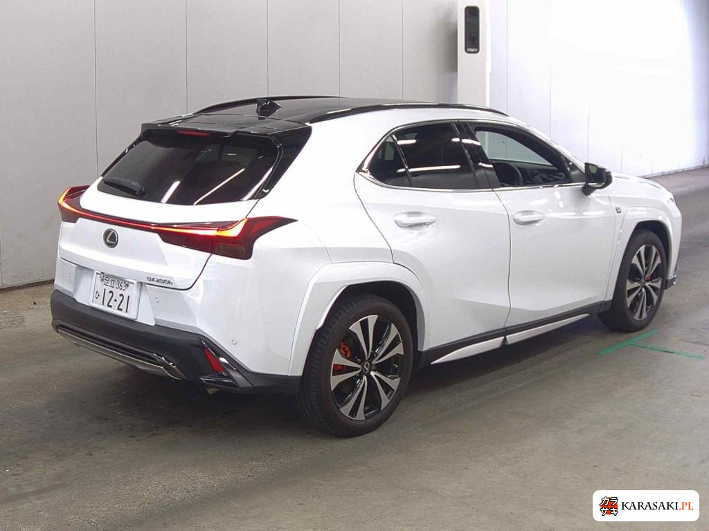 2023 Lexus Ux UX250H F Sport Emotional Explorer 4