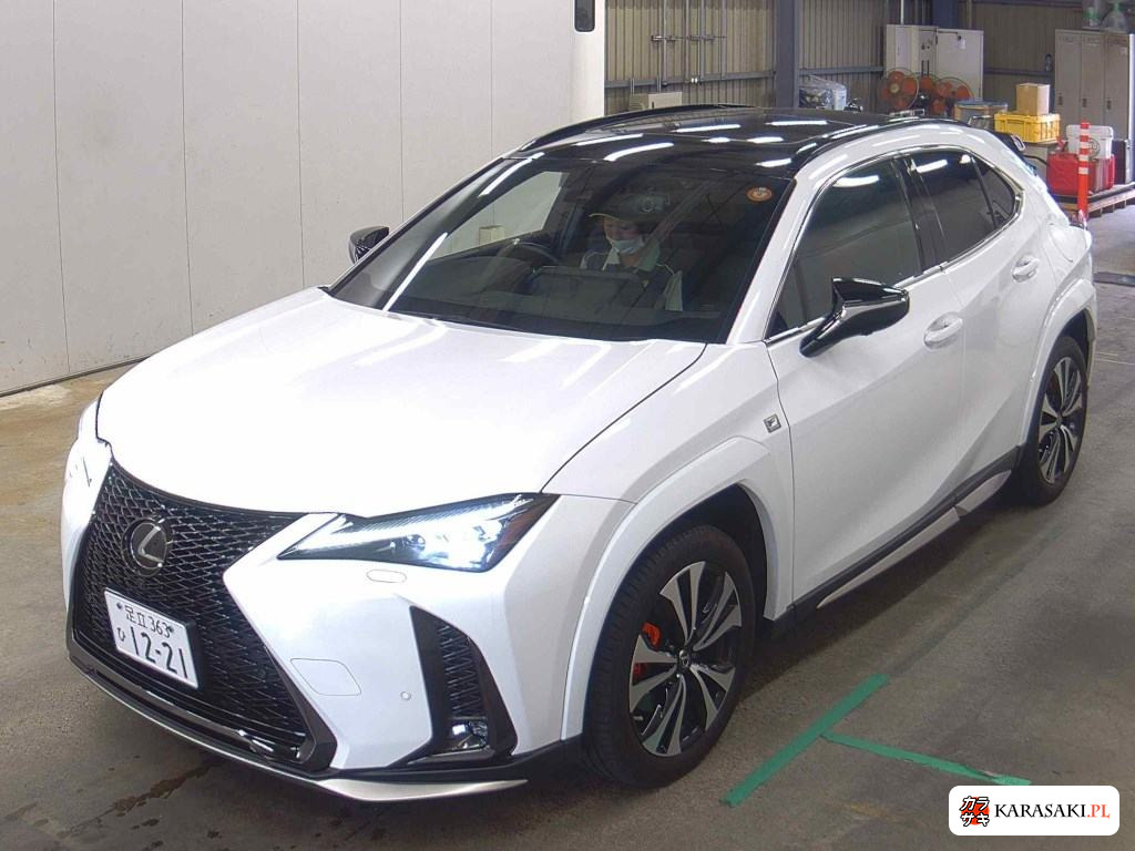 2023 Lexus Ux UX250H F Sport Emotional Explorer 3