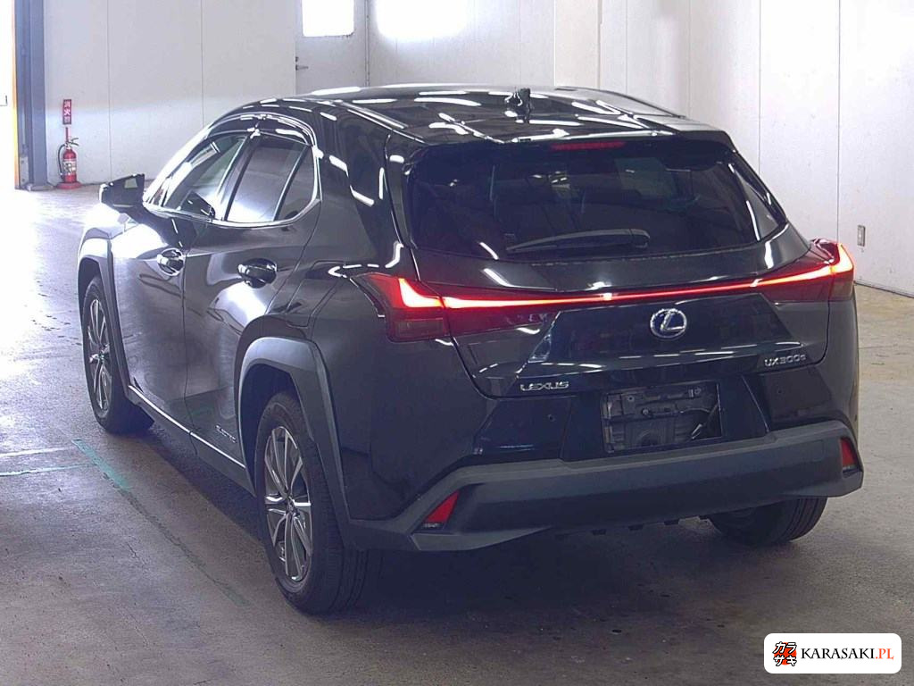 2021 Lexus UX300E Version C 2