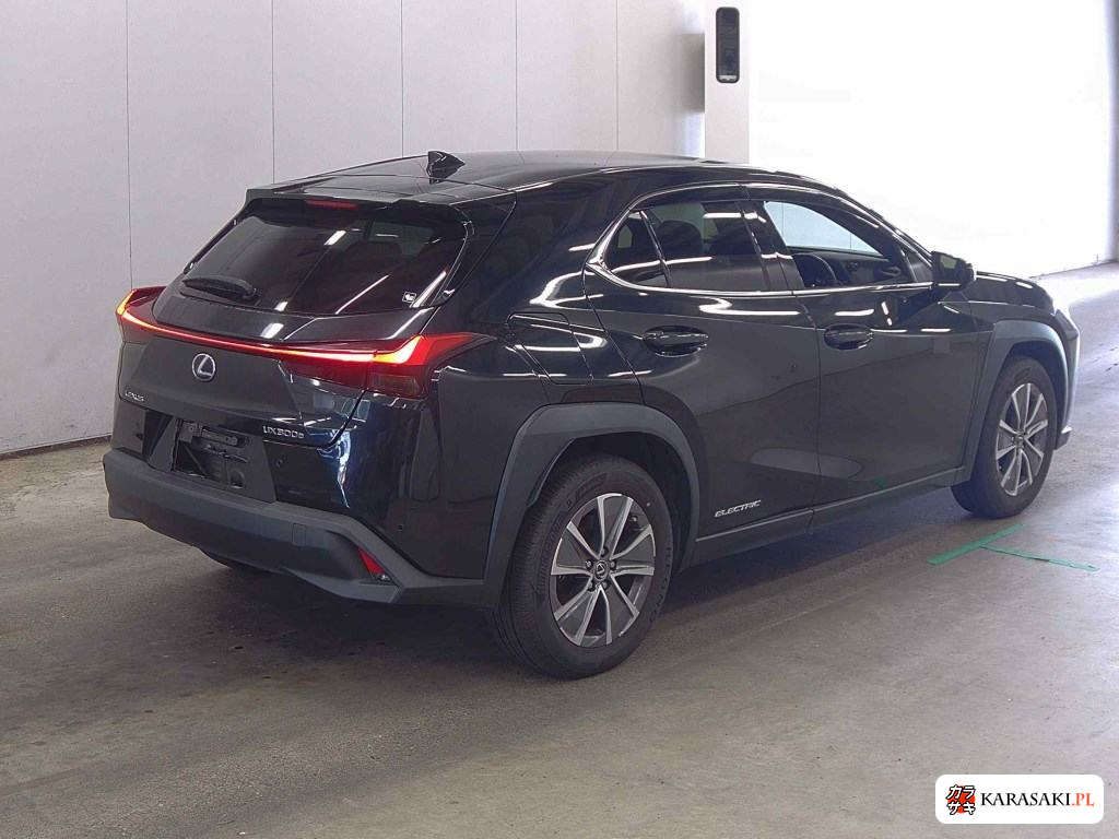 2021 Lexus UX300E Version C 4