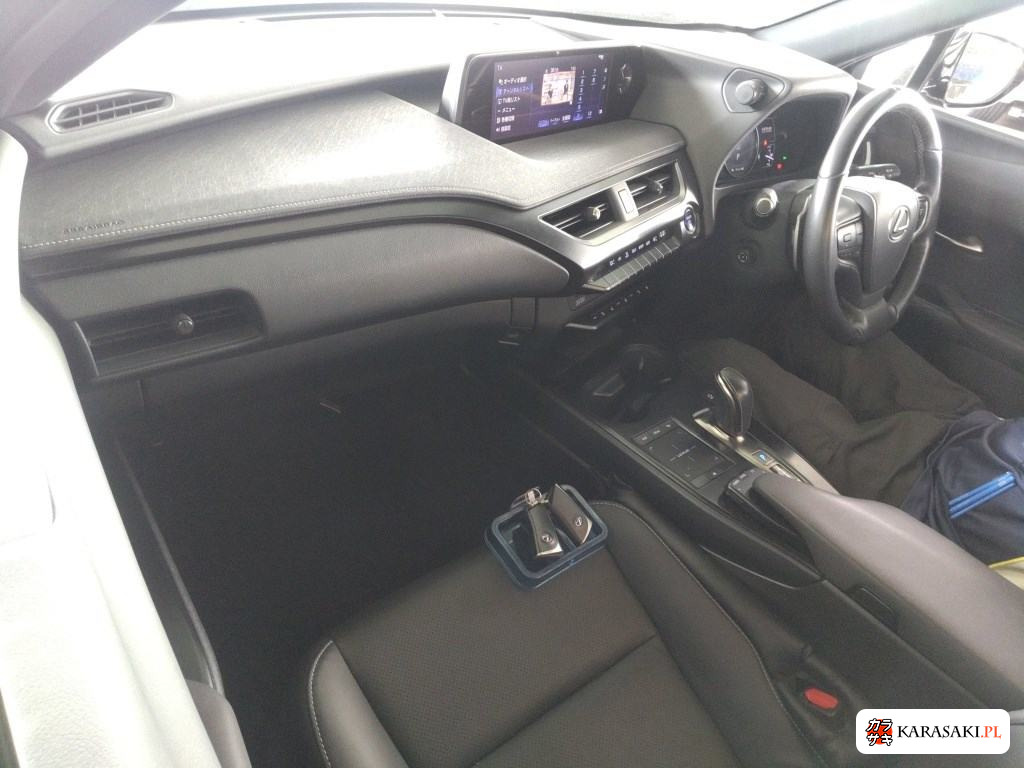 2021 Lexus UX300E Version C 5